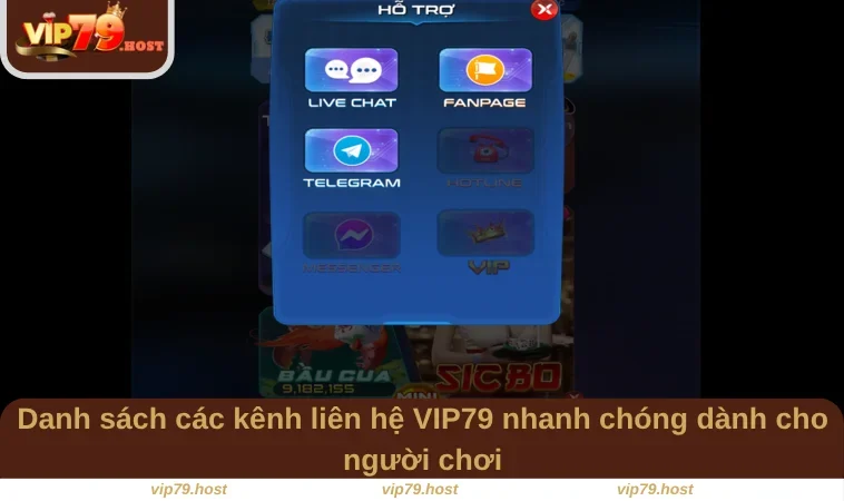 Liên Hệ VIP79 1 Danh sách các kênh liên hệ VIP79 nhanh chóng dành cho người chơi
